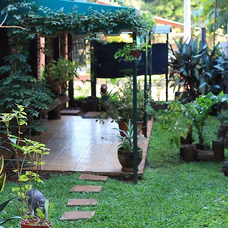 Bed and Breakfast Folks Iguazu - Casa De Huespedes Puerto Iguazú Exterior foto